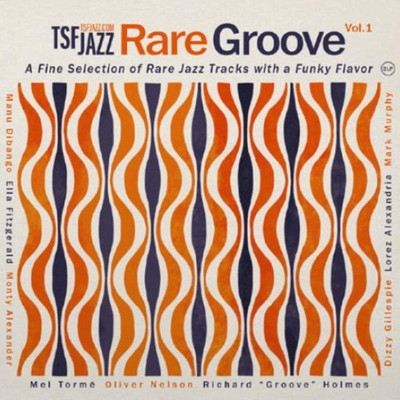 Tsfjazz.com Rare Groove Vol.1 (2枚組アナログレコード) | HMV&BOOKS