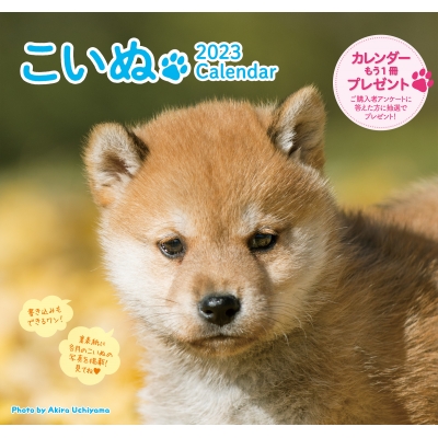 23 こいぬカレンダー 内山晟 Hmv Books Online