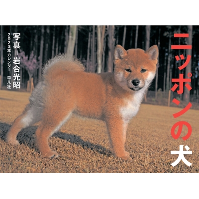 23年カレンダー ニッポンの犬 岩合光昭 Hmv Books Online