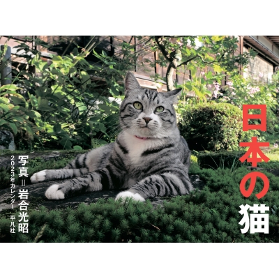 2023年カレンダー 日本の猫 : 岩合光昭 | HMV&BOOKS online