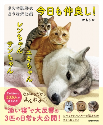 今日も仲良し!ユキちゃんレンちゃんサンちゃん まるで親子のような犬と