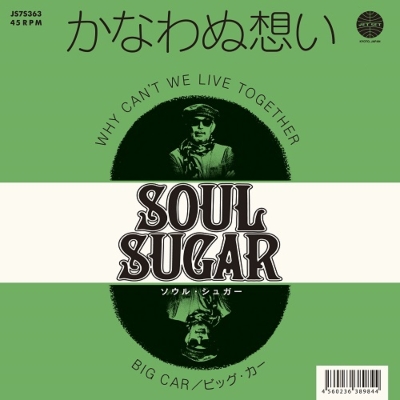 Why Can't We Live Together / Big Car (7インチシングルレコード