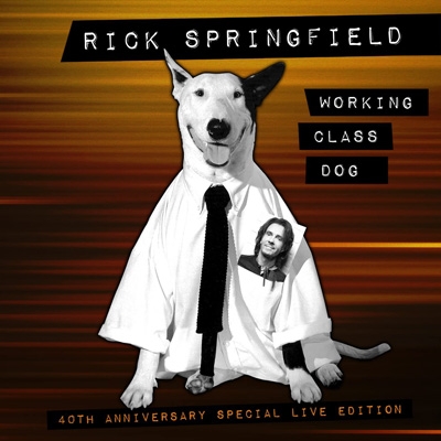 Working Class Dog: 40th Anniversary Special Live Edition (CD＋DVD) : Rick  Springfield | HMVu0026BOOKS online - SVR40