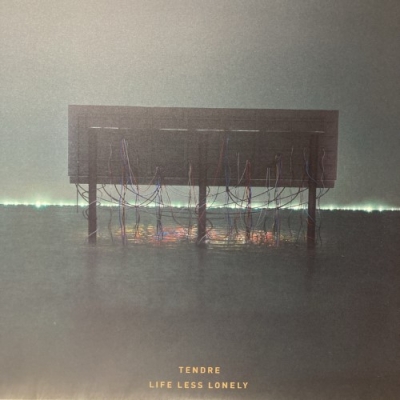 中古:盤質B】 LIFE LESS LONELY 【数量限定生産】(アナログレコード) : TENDRE | HMV&BOOKS online -  TBV0008