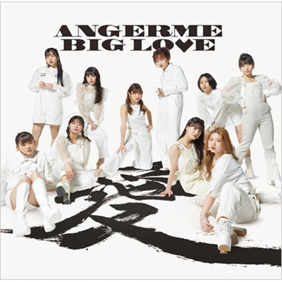 【国内在庫】BIG LOVE アンジュルム　初回限定盤B 15枚　アルバム 邦楽