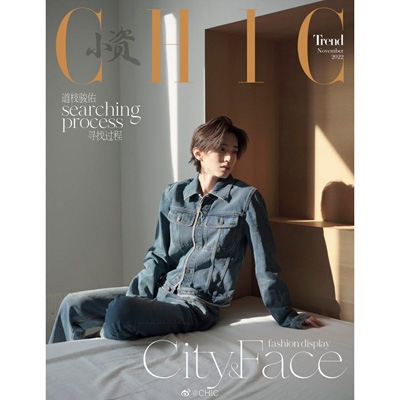 CHIC:MICHIEDA SHUNSUKE ORANGE (NOV) : Magazine (Import