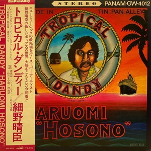 細野晴臣 トロピカル・ダンディ LP TROPICAL DANDY レコード 細野晴臣 - Tropical Dandy (LP) – Meditations