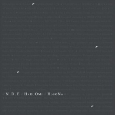 希少レア12インチレコード〔 細野晴臣 - N . D . E 〕 - 邦楽