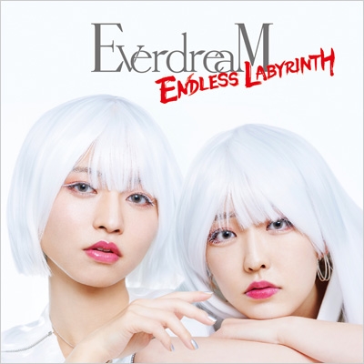 ENDLESS LABYRINTH (+DVD) : EverdreaM | HMV&BOOKS online - XNHI-1