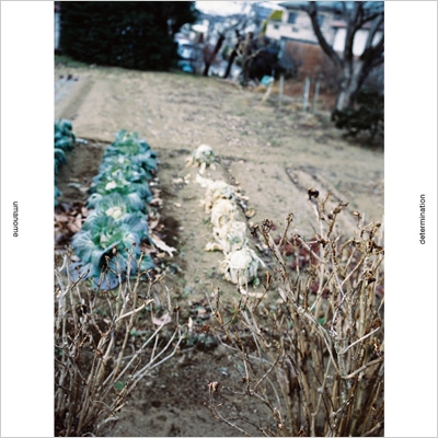 This is DETERMINATIONS デタミネーションズ Amazon.co.jp: Chat Chat Determination - DETERMINATIONS