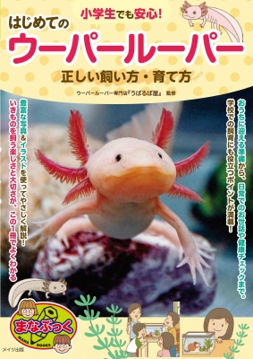 うえむー(飼育係) 楽天市場】三晃商会 SANKO イージーホーム・ネクスト70 ラビット