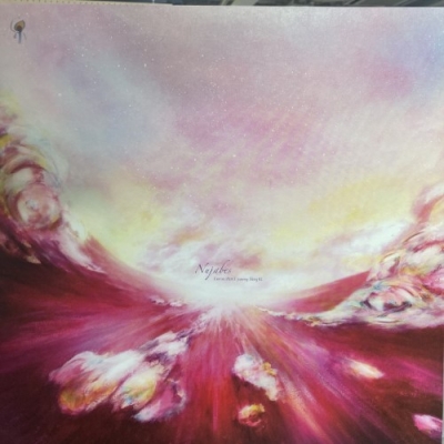 中古:盤質A】 Luv(Sic)Part 5 : Nujabes / Shing02 | HMV&BOOKS online 