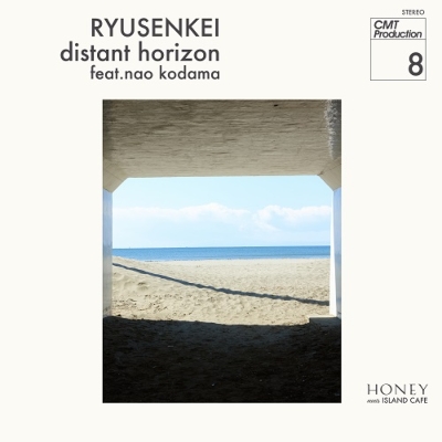 完売品 流線形 人気曲 7inch 2枚セット 遠い水平線 feat.児玉奈央 (7インチシングルレコード) : 流線形