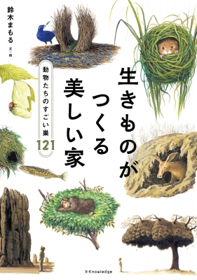 鳥の巣 50個の巣と、50種の鳥たち 写真集 写真集 鳥の巣 50個の巣と、50種の鳥たち | シャーロン