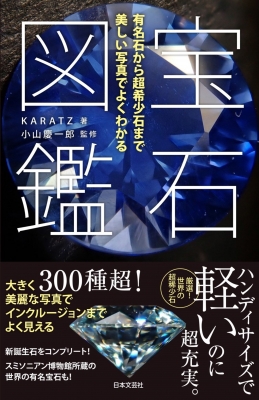 特選一石希少レア奇跡の癒しの石【1kg健康美容の石シュンガイト】️