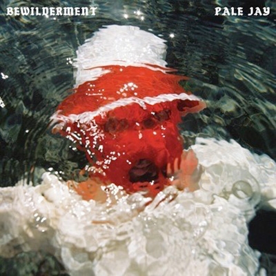 Bewilderment : Pale Jay | HMV&BOOKS online - AMIP0332