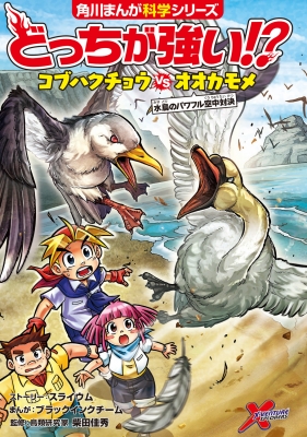 どっちが強い!?コブハクチョウvsオオカモメ 水鳥のパワフル空中対決