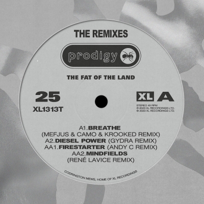 Fat Of The Land 25th Anniversary -Remixes (シルヴァー・ヴァイナル