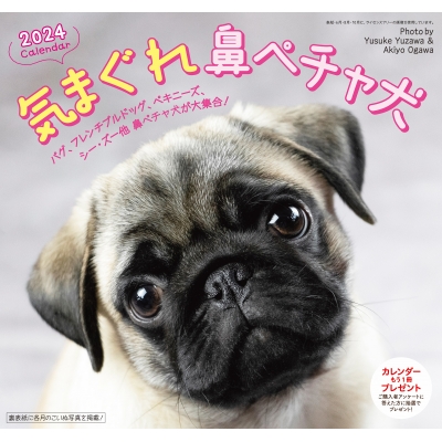 ペチャ 犬 コレクション 雑誌