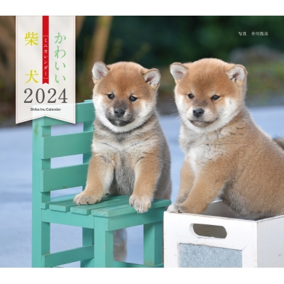 2024NJ_[ 킢Č VЃJ_[