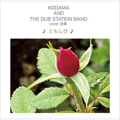 COVER曲集 ♪ともしび♪ : KODAMA AND THE DUB STATION BAND