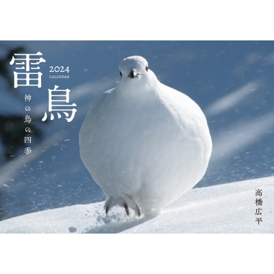 雷鳥 神の鳥の四季カレンダー 2024 : 高橋広平 | HMV&BOOKS online