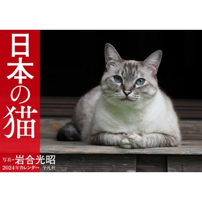 2024年カレンダー 日本の猫 : 岩合光昭 | HMV&BOOKS online