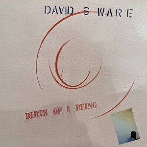 新宿ALTA】DAVID S WARE/BIRTH OF A BEING(HATHUTW)-