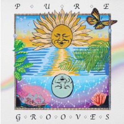 Pure Grooves 1