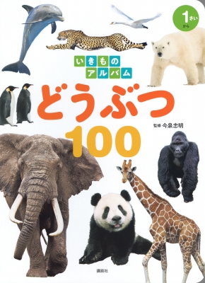 いきもの、動物に関する本　２３冊セット とにかくかわいいいきもの図鑑 | 今泉忠明, ふじもとめぐみ |本