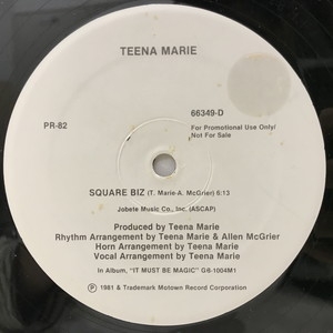 中古:盤質B】 Square Biz / Mighty Mighty : Teena Marie / Ozone