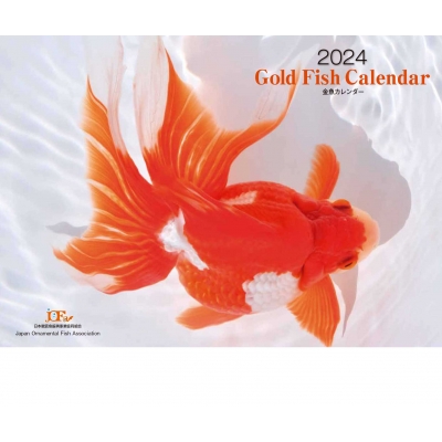 金魚カレンダー 2024 : 日本観賞魚振興事業協同組合 | HMV&BOOKS