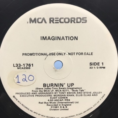 【中古:盤質B】 Burnin' Up : Imagination | HMV&BOOKS Online - L331761