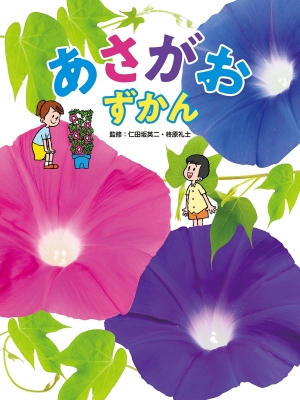 きせつと行事を楽しむずかん 図書館用堅牢製本 １/岩崎書店/長谷川康男（単行本） 秋のあそび、工作、りょうり きせつと行事を楽しむずかん