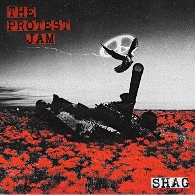 THE PROTEST JAM (2枚組/180グラム重量盤レコード) : SHAG | HMV&BOOKS