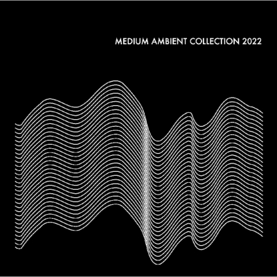 邦楽 MEDIUM AMBIENT COLLECTION 2022 2CD MEDIUM AMBIENT COLLECTION 2022 BLACK 【完全限定盤】(2枚組アナログ