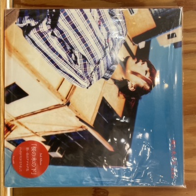 aiko「桜の木の下」〈生産限定盤・180g重量盤（2LPレコード