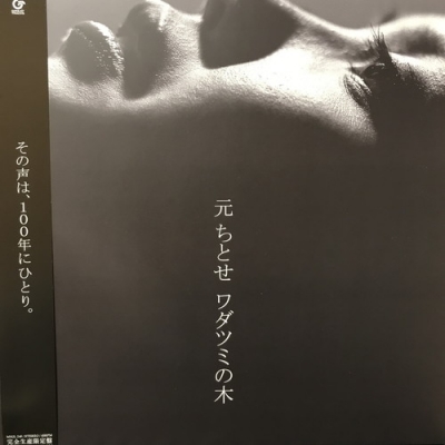 未使用品 アナログレコード 12インチ クリア盤]元ちとせワダツミの木