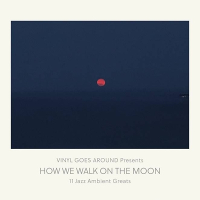 How We Walk On The Moon (帯付/アナログレコード) | HMVu0026BOOKS online - PLP-7443