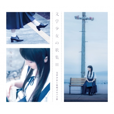 堀江由衣 アルバム シングル CD セット まとめ売り 040.jpg
