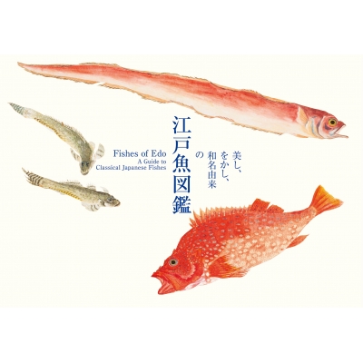 【真作】掛軸　三尾の小魚図　洒脱な筆遣い　淡彩魚図　素朴な味わい　T110 真作】掛軸 三尾の小魚図 洒脱な筆遣い 淡彩魚図 素朴な味わい T110