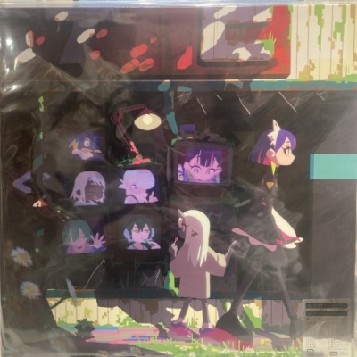 中古:盤質A】 ぐされ 【受注生産限定盤】(2枚組アナログレコード