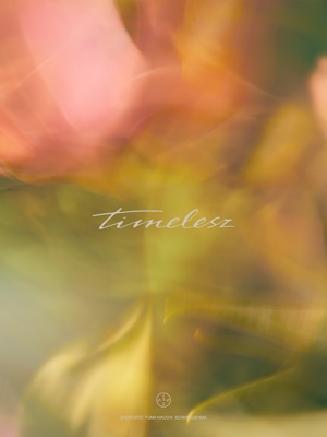 timelesz yLimited Edition()z(+DVD)