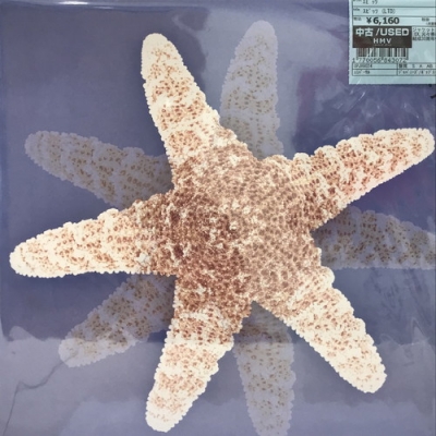 中古:盤質B】 スピッツ (180グラム重量盤)【完全受注限定生産