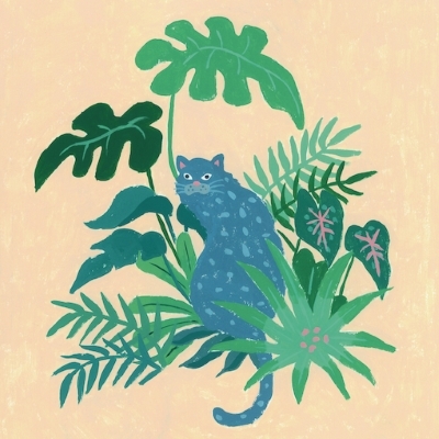 [未使用品 アナログレコードLP盤]　MuchaMuchaM　Qantikala QANTIKALA / カンティカラ/MuchaMuchaM/ムチャムチャム/DJ KOCO