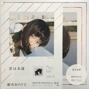 中古:盤質A】 恋は永遠 【通常盤】(12インチアナログレコード) : 銀杏BOYZ | HMV&BOOKS online - SKOOL045