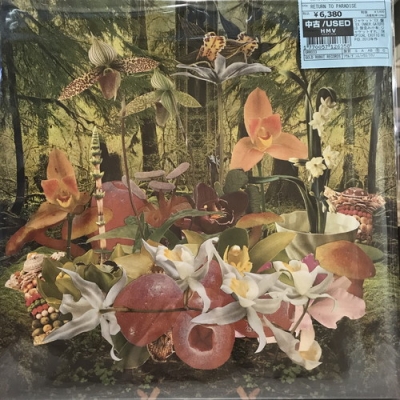 【中古:盤質B】 Return To Paradise : Monster Rally | HMV&BOOKS online - GRR033