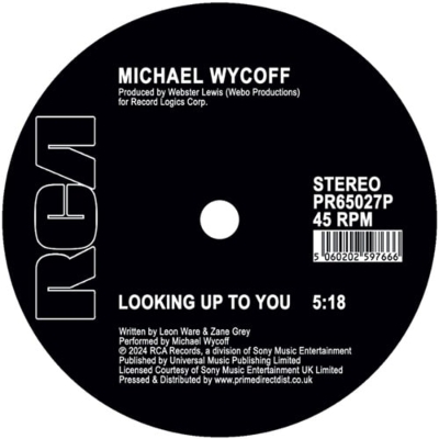 MICHAEL WYCOFF LOOKING UP TO YOU 12インチレコ MICHAEL WYCOFF LOOKING UP TO YOU 12インチレコ