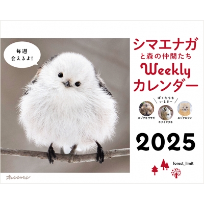 Amazon.co.jp: シマエナガと森の仲間たちWeeklyカレンダー2025