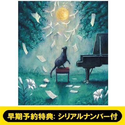 早期予約特典: シリアルナンバー付》 ヨルシカ LIVE 「月と猫のダンス」 (Blu-ray)《全額内金》 : ヨルシカ | HMV&BOOKS  online - UPXH1090HMV